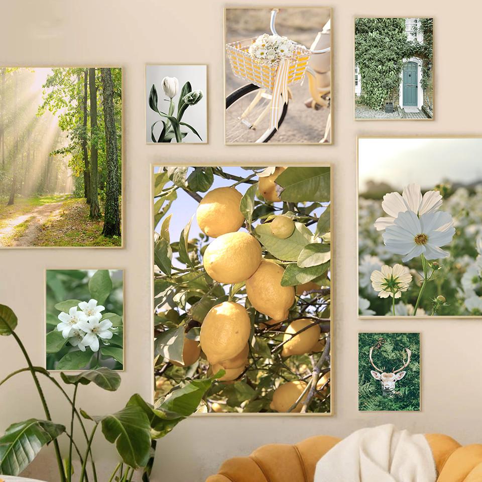 Spring Flowers Tulips Lemon Nature Posters Prints Jungle Deer Bike Wall Art Pictures Canvas Painting Nordic Home Room Decor