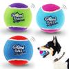 4Pcs/Set Pets Dog Squeaky Tennis Ball Toys Bite Resistant High Bounce Sound Rubber Ball for Small Medium Dogs Training Toy 2026