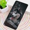 Animal Husky cute Puppy Dog Phone Case for Samsung Galaxy note 10 pro S26 Ultra S23 S24 FE S25 S21 S22 PLUS shockproof Cove