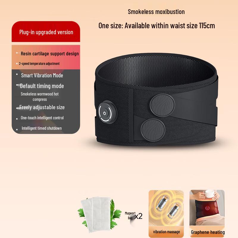 Chigo Electric Heated Waist Massager Belt
