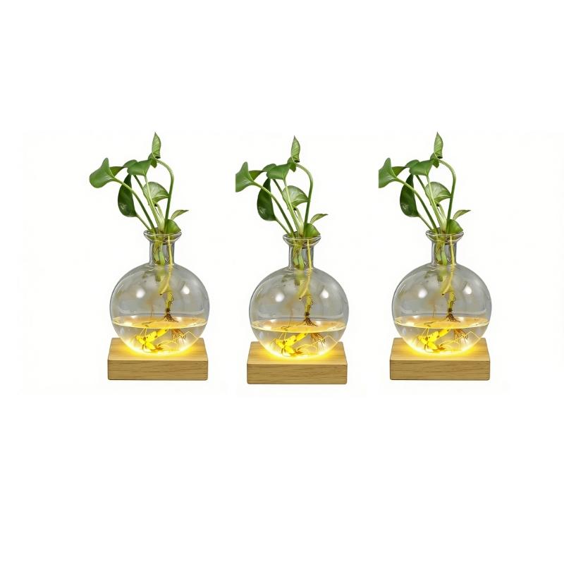 LED Illuminated Hydroponic Glass Vases For Visible Plant Root Growth Display And Ambients Night Light Decoration Home Office