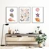 Pastel Colored Sea Shell Watercolor Poster Ocean Pebbles Canvas Painting Wall Art Education Picture Retro Kid Room Home Decor