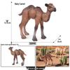 Mongolian Camel Children's Cognitive Simulation Model Toy
