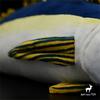 Yellow Fin Tuna High Fidelity Anime Cute Plushie Allison Tuna Fish Plush Toys Lifelike Animals Simulation Stuffed Doll Kawai Toy