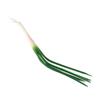 Realistic Artificial Green Onion PU Imitation Scallions Model Simulation Vegetable  Sketch