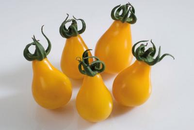 35 Yellow Pear Cherry Tomato Seeds - Vegetable Garden Vegetable - Reproducible Peasant Seeds - Semi-Wild