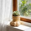 Whimsical Animal Footprint Styles Small Plant Flower Pot Container Easy To Maintain Suitable For Green Thumbs Beginners
