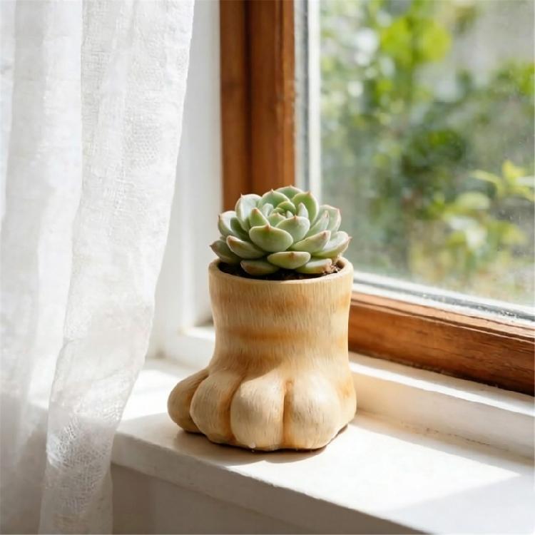 Whimsical Animal Footprint Styles Small Plant Flower Pot Container Easy To Maintain Suitable For Green Thumbs Beginners