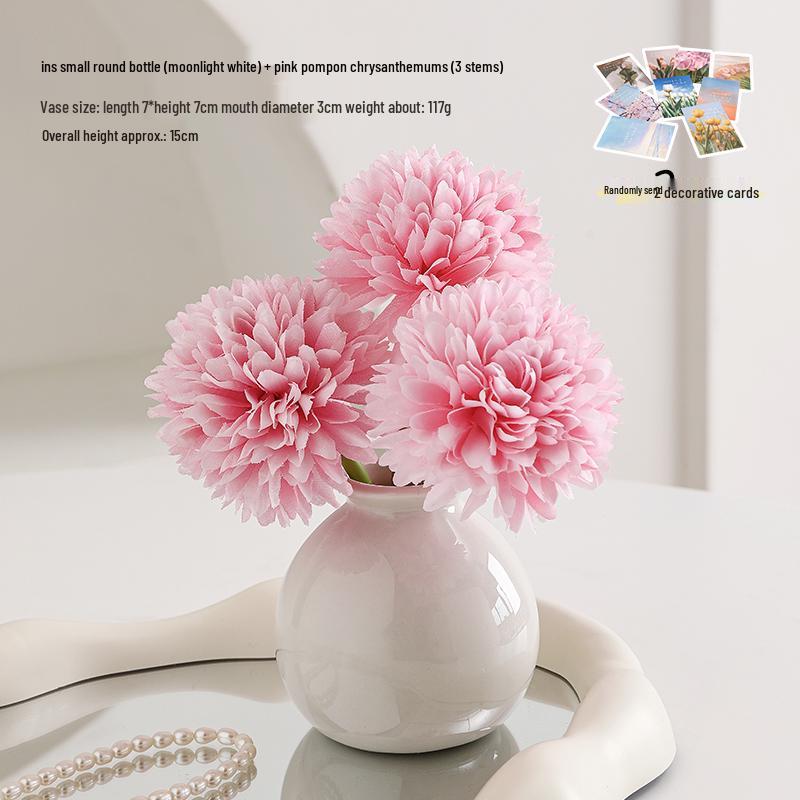 Small Ceramic Desktop Hydroponic Vase for Pothos - Simple Decorative Ornament for Office