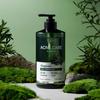 Acne Care Body Wash 800ml (Artemisia/Frozen)
