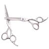 Achaobi Silver Hairdressing Scissors Set: Straight, Thinning, and Bang Shears (5.5/6 Inch).