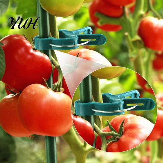 Heavy Duty Plant Clips 20Pcs Support Clips, Plastic Gentle Clamps, Cucumber Growth Tomato Cage for Climbing Vines, Flowers Stems Flower Trellis
