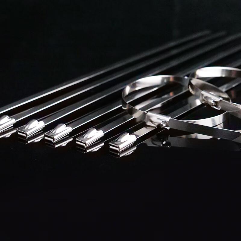 HAISIDIKE 304 Stainless Steel Self-Locking Cable Ties