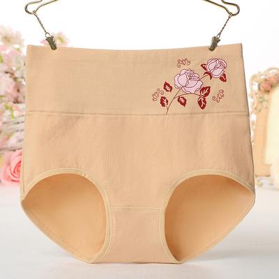 Women's Panties Embroidered Panties High Waist Underwear