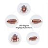 Funny Simulation of Cockroaches Pet Cat Dog Kitten Interactive Training Play Toy.