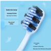 Saky Oral Care Set - Sakura, Floral, and Whitening Bundle