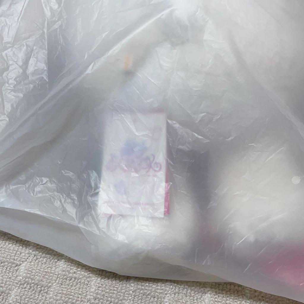 [USED] SKZOO PLUSH Teddy Bear Leavitt StrayKids