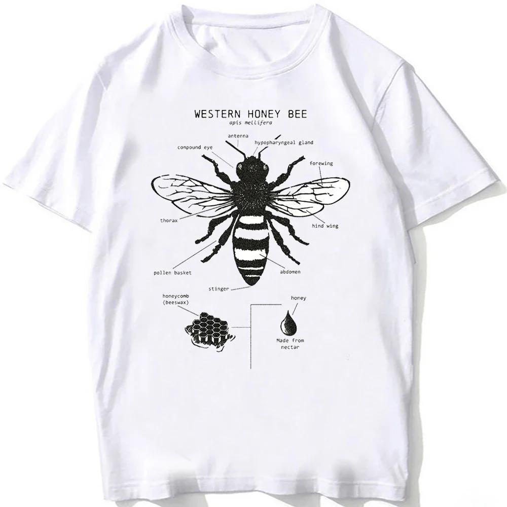 Dive To The Depths Of The Ocean with Whale Shark Art TShirt Unisex Men Great White Shark Anatomy T-Shirt Hip Hop Boy Casual Tees