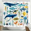 Cartoon Blue Sea Dolphin Underwater World Printed Shower Curtain, Bathroom Shower Curtain, Home Decorative Curtain With Hooks
