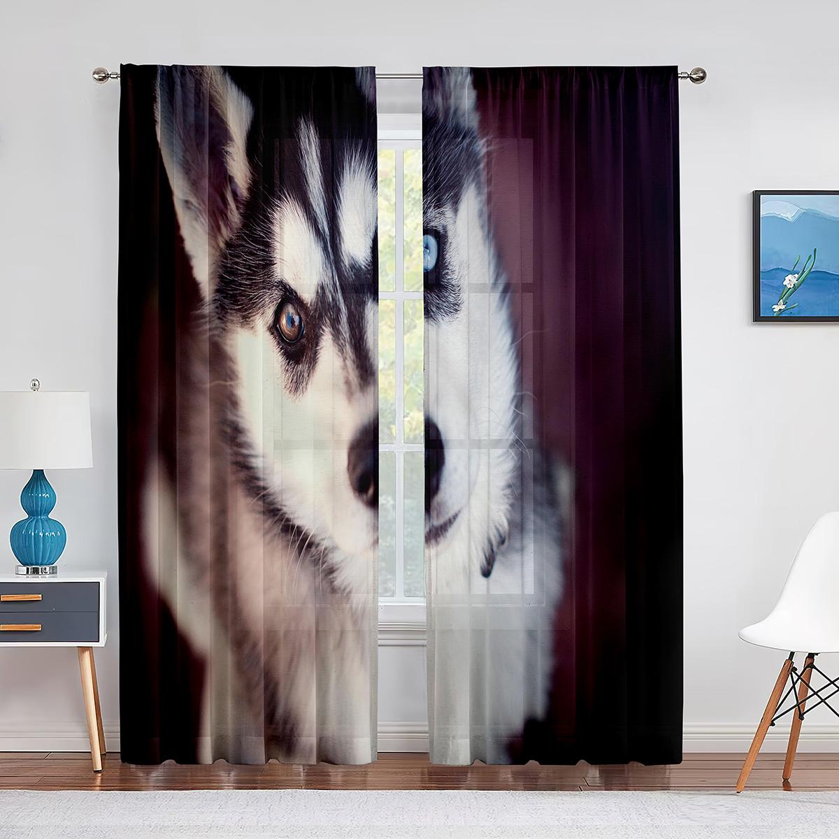 Зимние снежные собаки хаски — фото 8