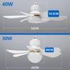 Modern Ceiling Led Light Fan 52CM 42CM Silent with Remote Control Ceiling Fan Lamp for Room Office Study Kitchen