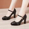 8 10 13cm Small Size 32-43 Elegant Thick Bottom Platform Pumps Women 2025 Fall Block High Heels Shoes Dress Model Office Party