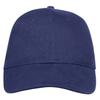 Buffalo 6 Panel Baseball Cap