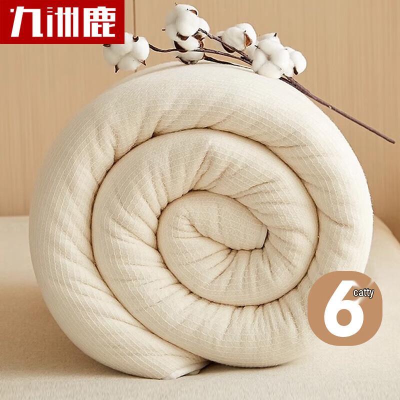 

Jiuzhoulu Xinjiang Cotton Quilt Insert