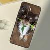 Chihuahua Hund Für OPPO Find X3 Lite X5 Pro A5 A9 A31 A53 S A83 A91 A93 A54 A74 A94 A15 A16 A52 A72 Hülle