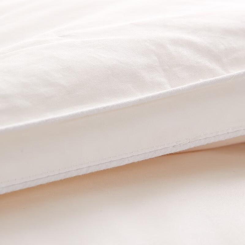 Jieliya White Goose Down Comforter