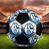 SIZE 5 FC Schalke 04 Soccer Ball Colorful All Ages Machine Stitched PVC Competition Ready Durable High-Bounce