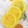 Confezione da 20 Fette di Limone Giallo - Ideali per Decorazioni per la Casa, Natale, Ringraziamento, San Valentino, Festa della Mamma, Laurea, Riunione