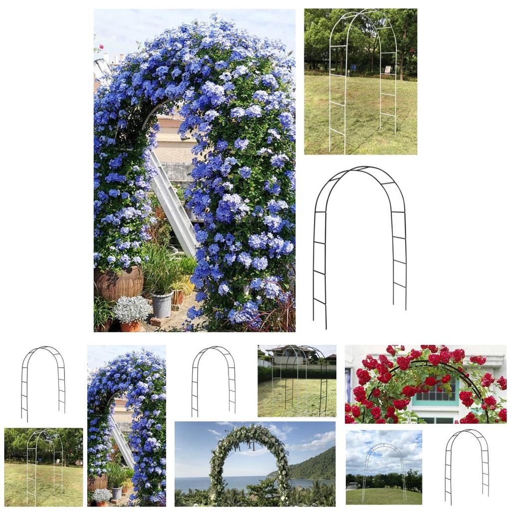 Simple Style Arch Trellis For Climbing Plants Foldable Metal Frame Black/white
