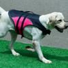 Reflective Dog Life Jacket Enhanced Buoyancy Dog Swimming Suit Pet Safety Vest  Summer Vacation