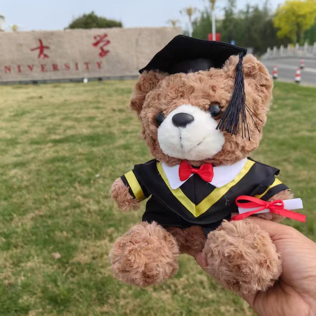 Abschluss Teddybär Stoffpuppe Bachelor Master Doktor Kleidung Puppendesign Geschenk Doktor Bär
