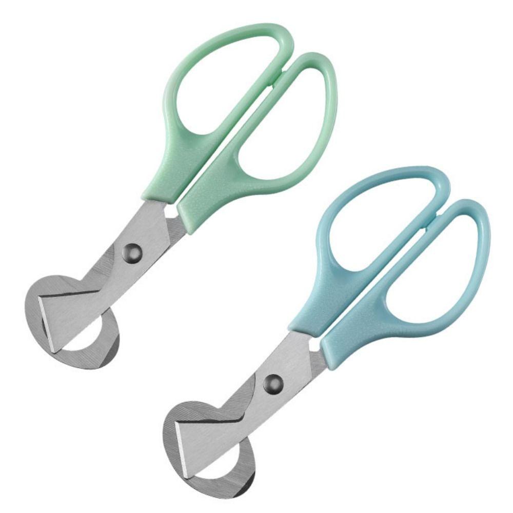 Rust Resistant Durable Kitchen Tool Quail Egg Opener Quail Egg Scissor Egg Shells Scissors