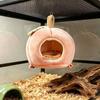 Fruit-Shaped Reptile Hide Soft Terrarium Decor Space-Saving for Snake Owners