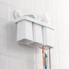 Camellia Simple Wall-Mounted Toothbrush Holder