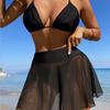 Popular Black Three-piece Bikini Women's Split Neck Swimsuit with Mesh Skirt Blouse Sexy Swimming