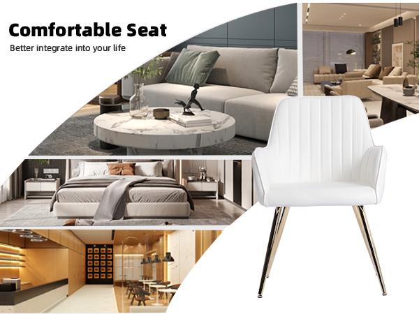 Dining Chair Set of 2 – Modern Fabric Chair with Armrest, Gold-Plated Metal Legs, Luxurious Dining Furniture for Living Room, Kitchen & Reception Room