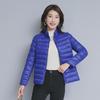 2023 Women's Off-Season Lightweight Cotton Jacket, Solid Color, Korean Style, Versatile, Short and Slim Fit