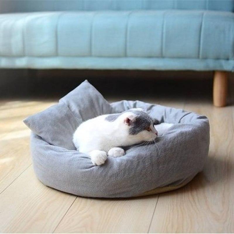 pie cat bed