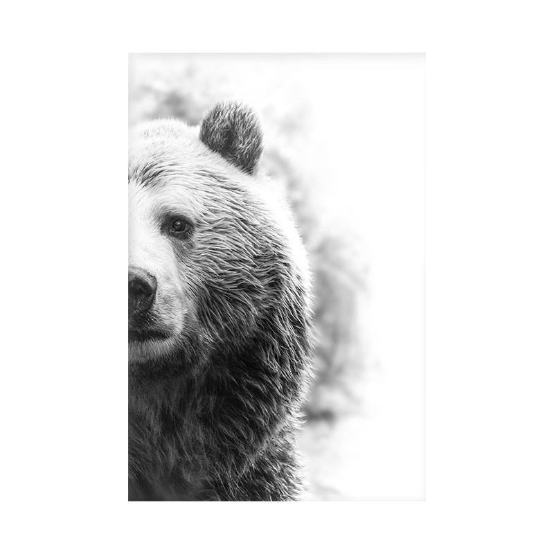 Animal Side Face Portrait Modern Wall Canvas Print Wild Life Art Poster Black and White Photo For Living Room Home Decor Cuadros