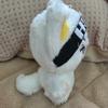 ENHYPEN Garden Doll for Sale