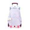 Set Zaino Scolastico Zaino con Ruote per Ragazze Studenti Zaino Trolley con Ruote Borsa Scolastica con Ruote Bagaglio da Viaggio Zaino per Libri