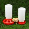 Poultry Pigeon Thickened Feeder And Drinker Water Food Dispenser Automatic Chicken Birds Chick Waterer Feeding Bucket Container