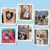 Blanket Pet Dog Flannel Blanket With Po And Name - Pet Animal Female Gift Male Dog Lover Commemorative Gift