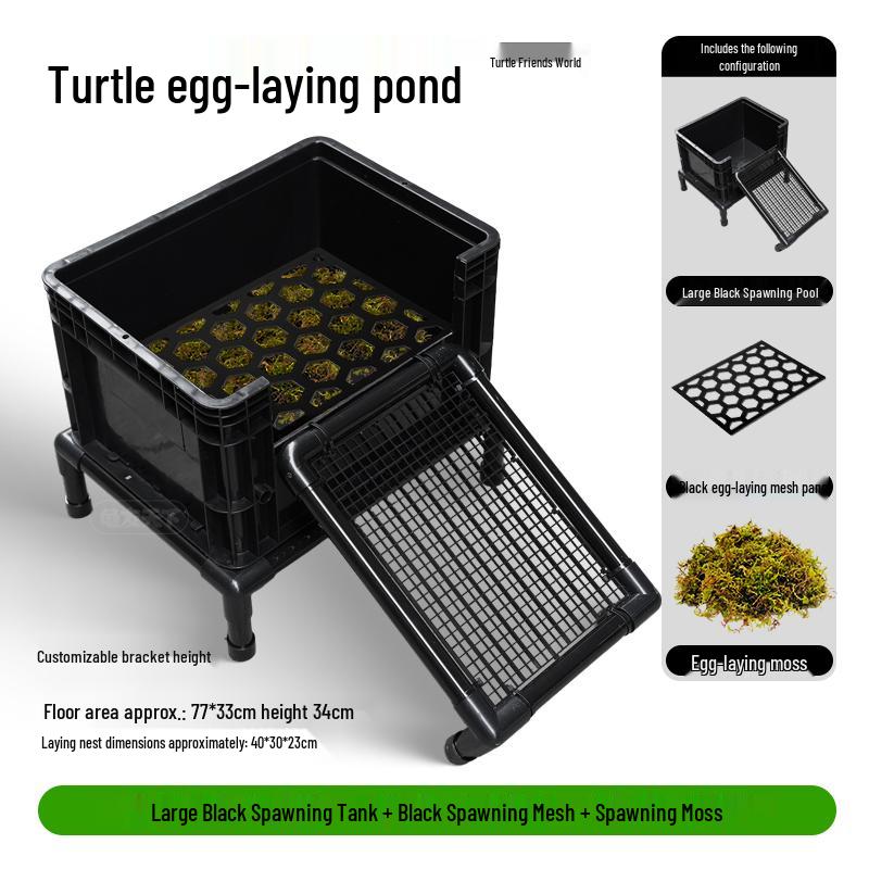 Turtle Egg-Laying Pond & Incubation Box with Basking Platform and Sand Pool