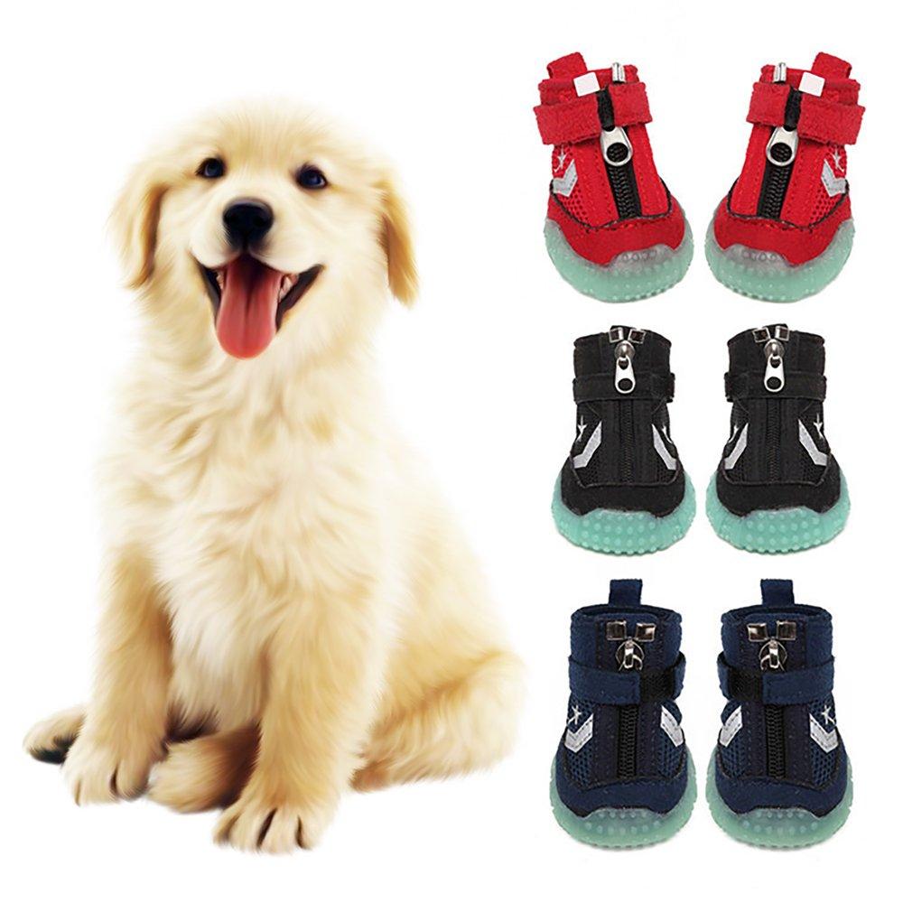 extra large dog shoes