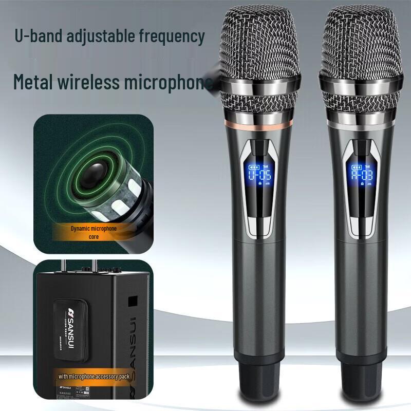 SANSUI E10 Outdoor Karaoke Bluetooth Speaker with Dual Microphones CN plug (adapter included)